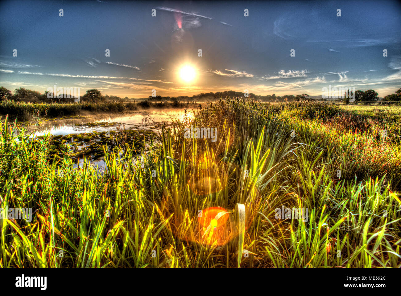 Village of Coddington, England. Artistic sunrise view of a freshwater pond in a Cheshire farming field. Stock Photo