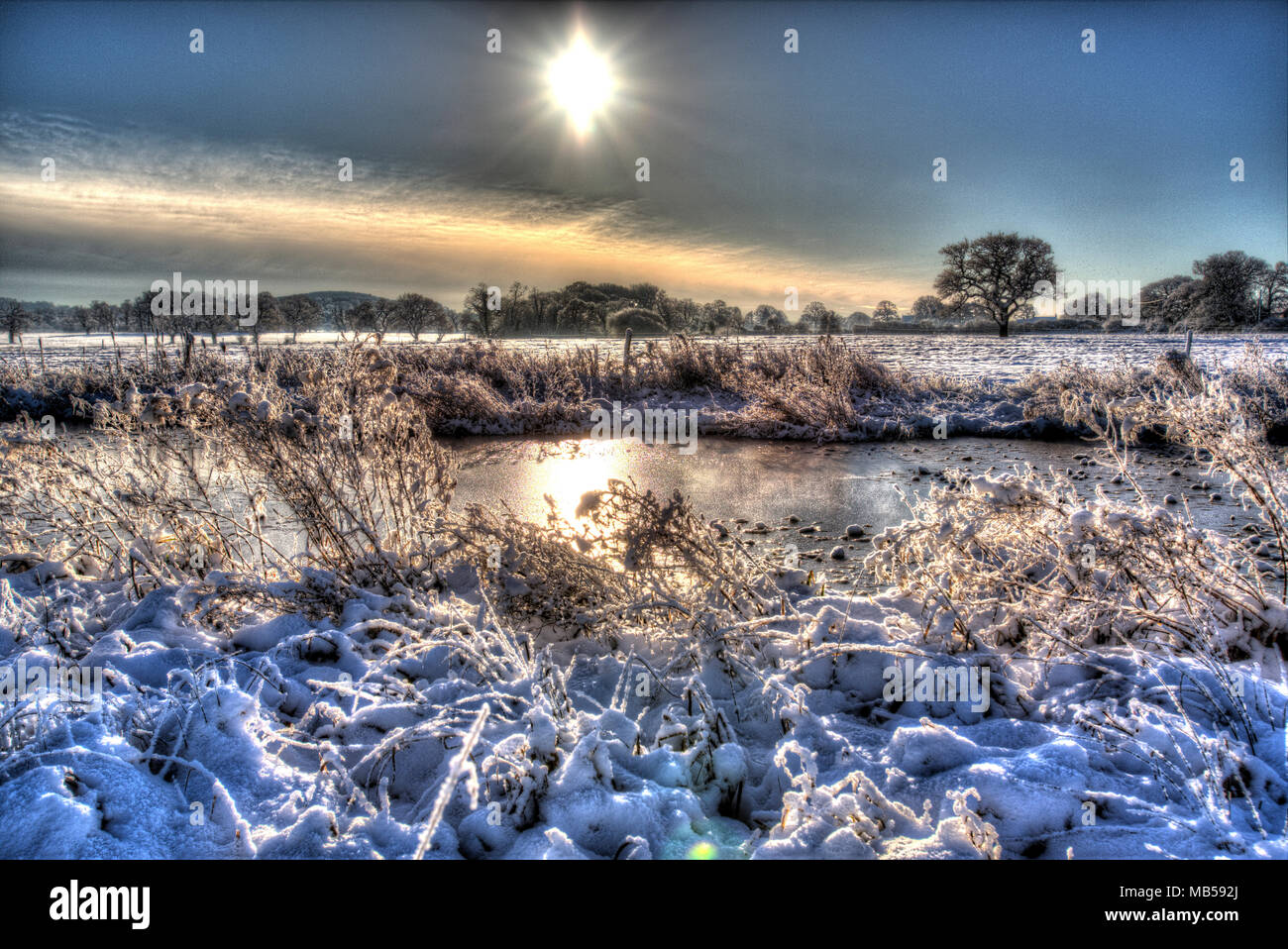 Village of Coddington, England. Artistic winter view over a pasture farming field and freshwater pond, in rural Cheshire. Stock Photo