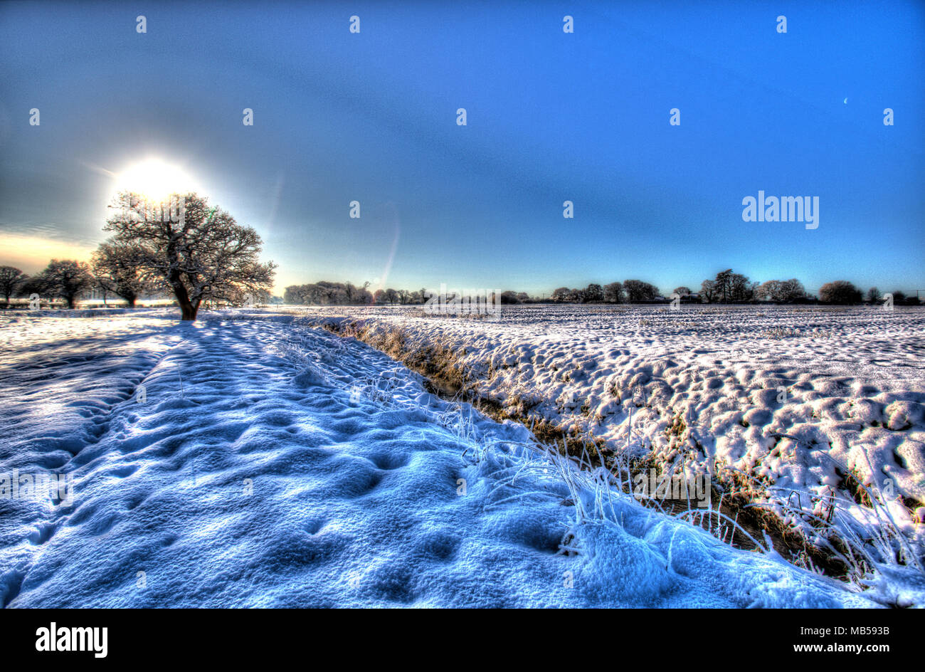 Village of Coddington, England. Artistic, snowy view of a pasture farming field in rural Cheshire, with a silhouetted oak tree in the background. Stock Photo
