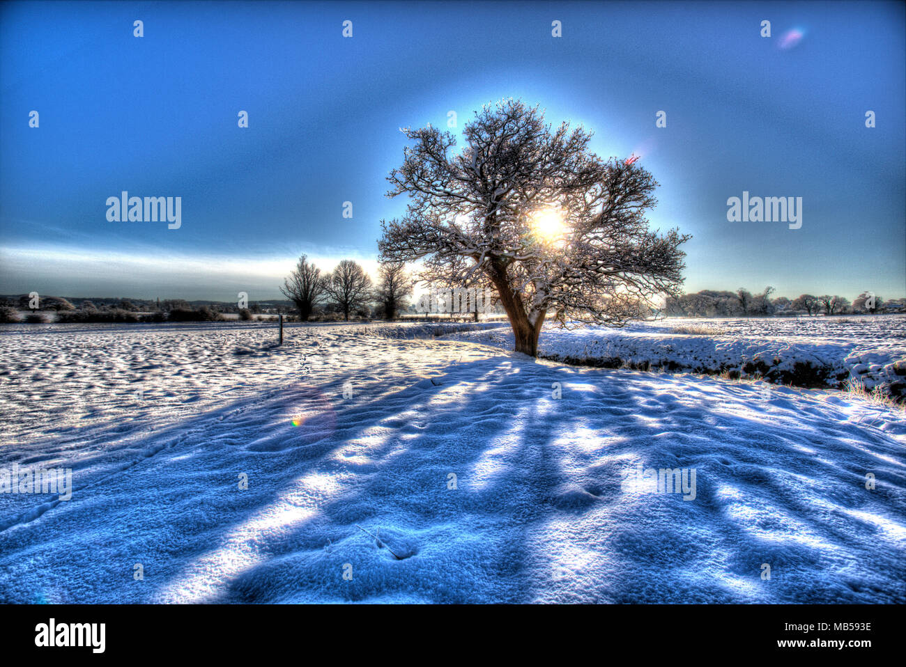 Village of Coddington, England. Artistic, snowy view of a pasture farming field in rural Cheshire, with a silhouetted oak tree in the background. Stock Photo