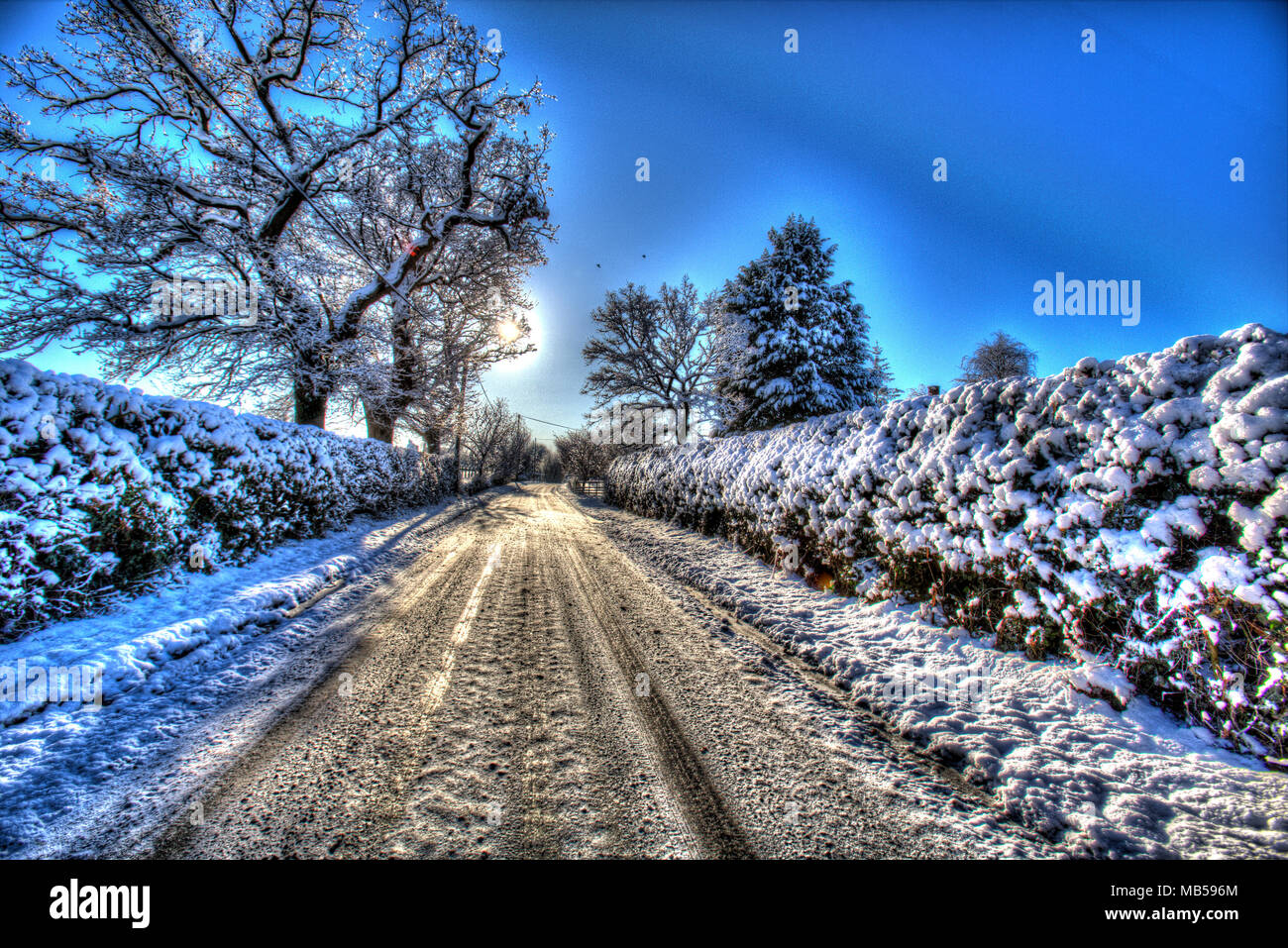 Winter England Rural Village of Coddington, England. Artistic, silhouetted winter view of a ...
