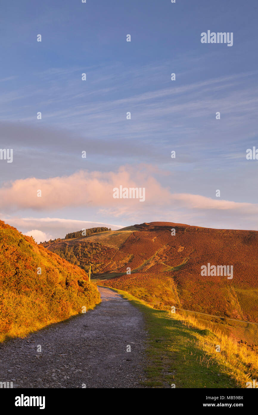 Path on Offa's Dyke, Moel Famau, North Wales at sunset Stock Photo