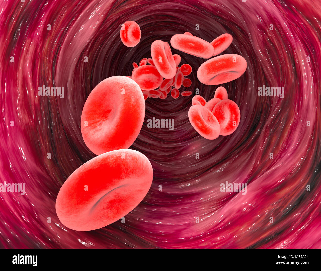 Red blood cells and blood flow through a vein, small spherical cells that contain hemoglobin, a protein that gives a color to the blood Stock Photo