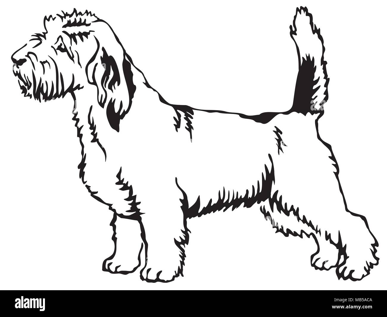 Decorative portrait of standing in profile Petit Basset Griffon Vendeen, vector isolated illustration in black color on white background Stock Vector