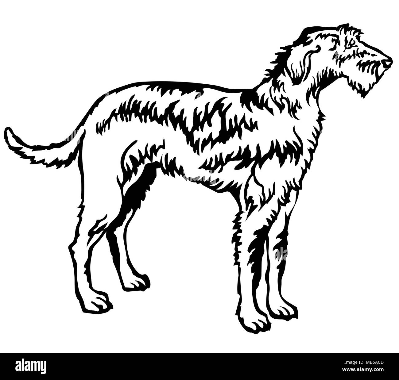 Decorative portrait of standing in profile Irish Wolfhound, vector isolated illustration in black color on white background Stock Vector