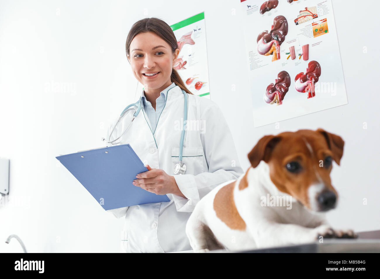 Woman holding medical card and looking at the dog. Veterinary clinic concept. Services of a doctor for animals, health and treatment of pets Stock Photo - Alamy Woman holding medical card and looking at the dog. Veterinary clinic concept. Services of a doctor for animals, health and treatment of pets Stock Photo - Alamy