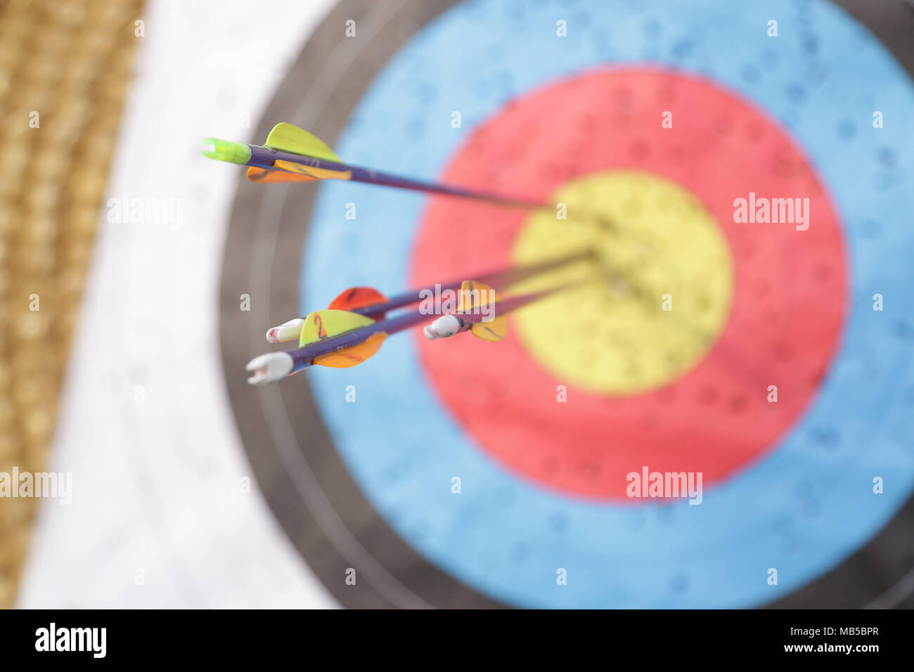 Archery board and arrows hires stock photography and images Alamy