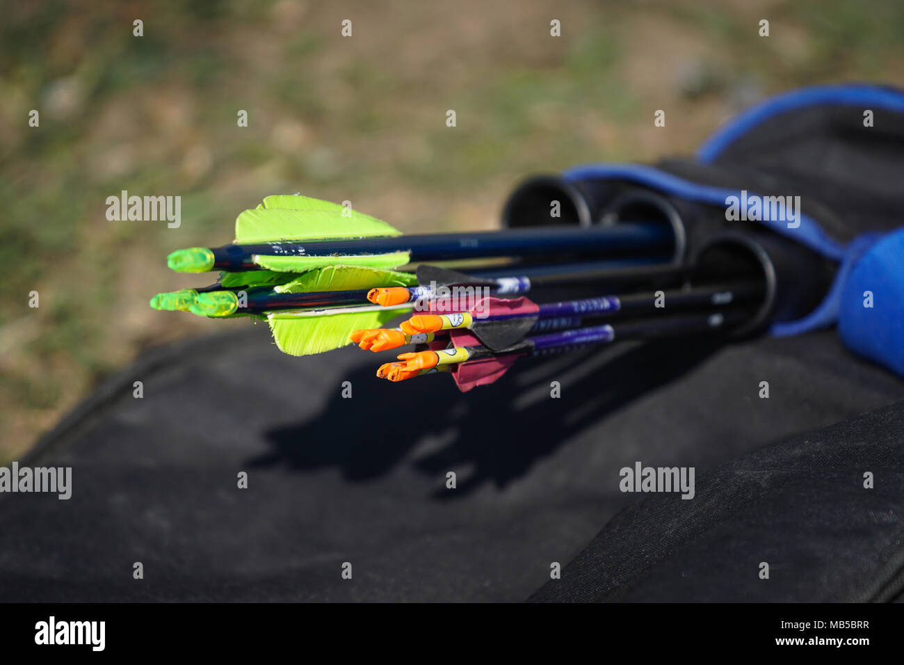 Plastic black arrows in archer case isolated Stock Photo