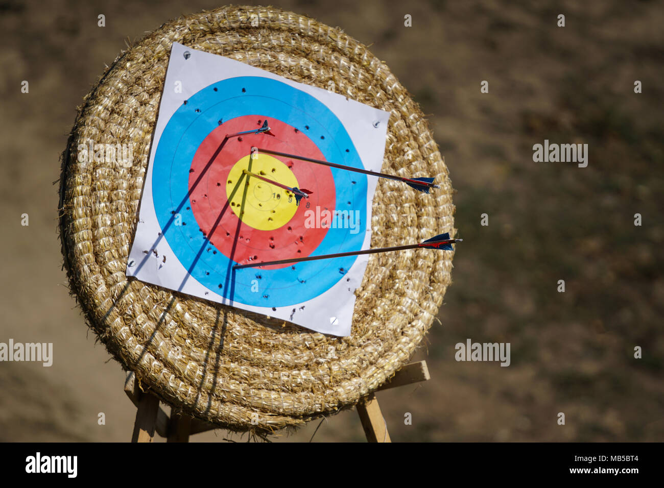 Arrows in archery target on archery range Stock Photo Alamy