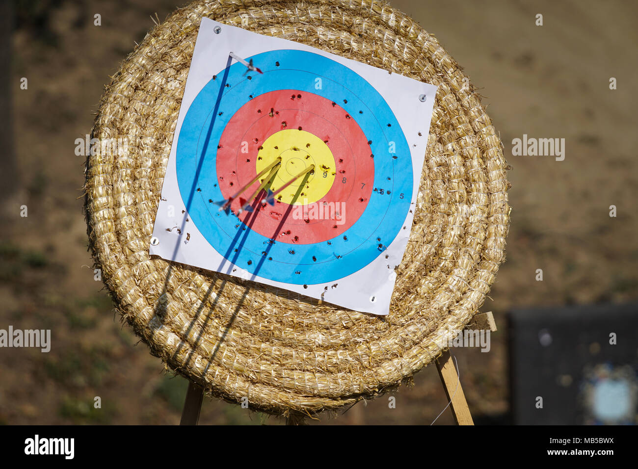 Archery board and arrows hires stock photography and images Alamy