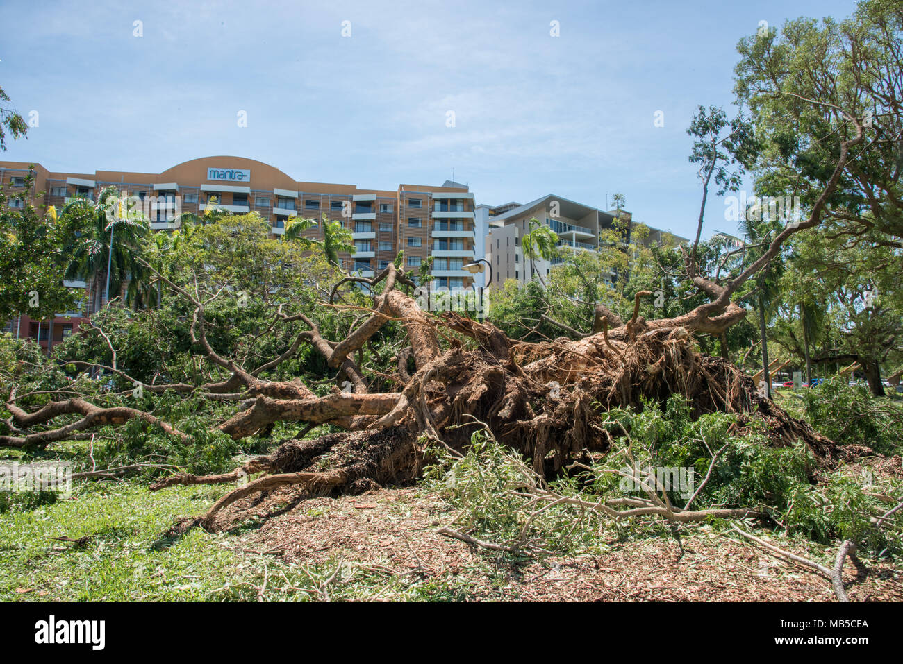 DARWIN,NT,AUSTRALIA-MARCH 18,2018: Cyclone damage with large uprooted tree and Mantra building in Darwin, Australia Stock Photo