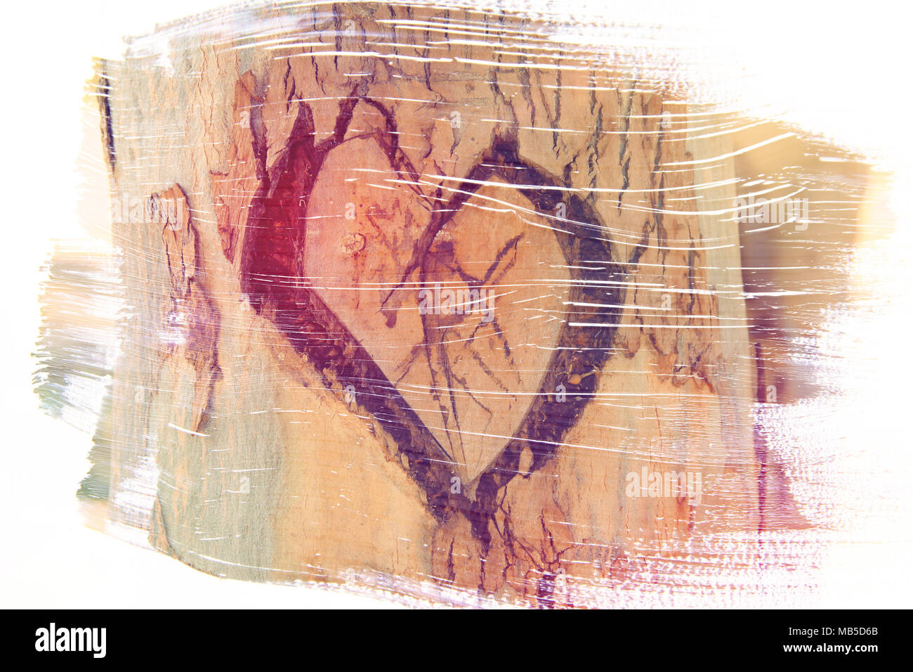 Photo of old tree trunk with heart carved on it. Valentine's day concept. Romantic background. double exposure effect Stock Photo