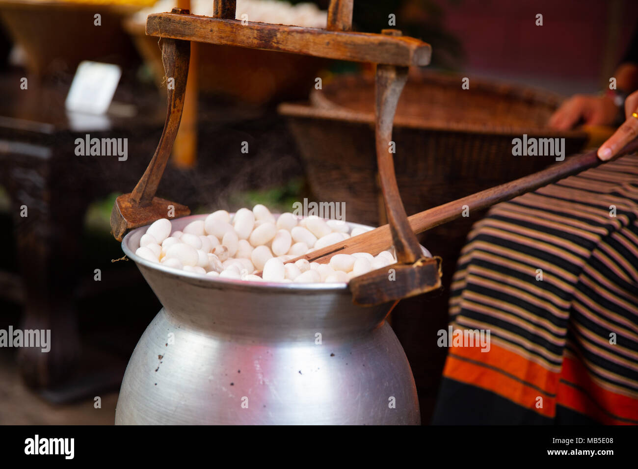 Silk Cocoons Boiling In Large Pot Stock Photo