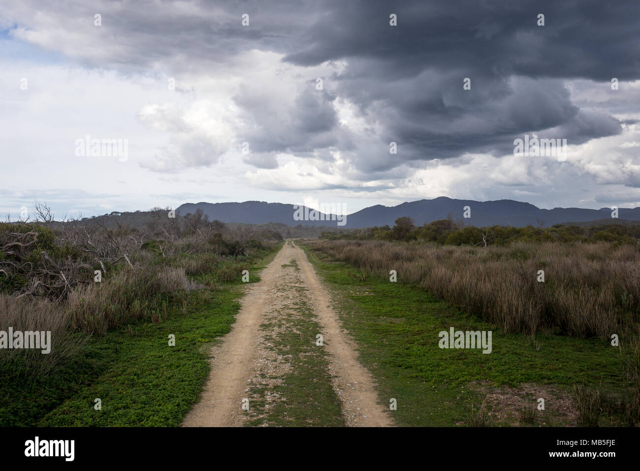 Dirt road under the dark sky hi-res stock photography and images - Alamy