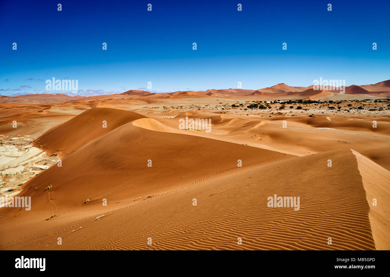 desert landscape of Namib at Sossusvlei, Namib-Naukluft National Park, Namibia, Africa Stock Photo