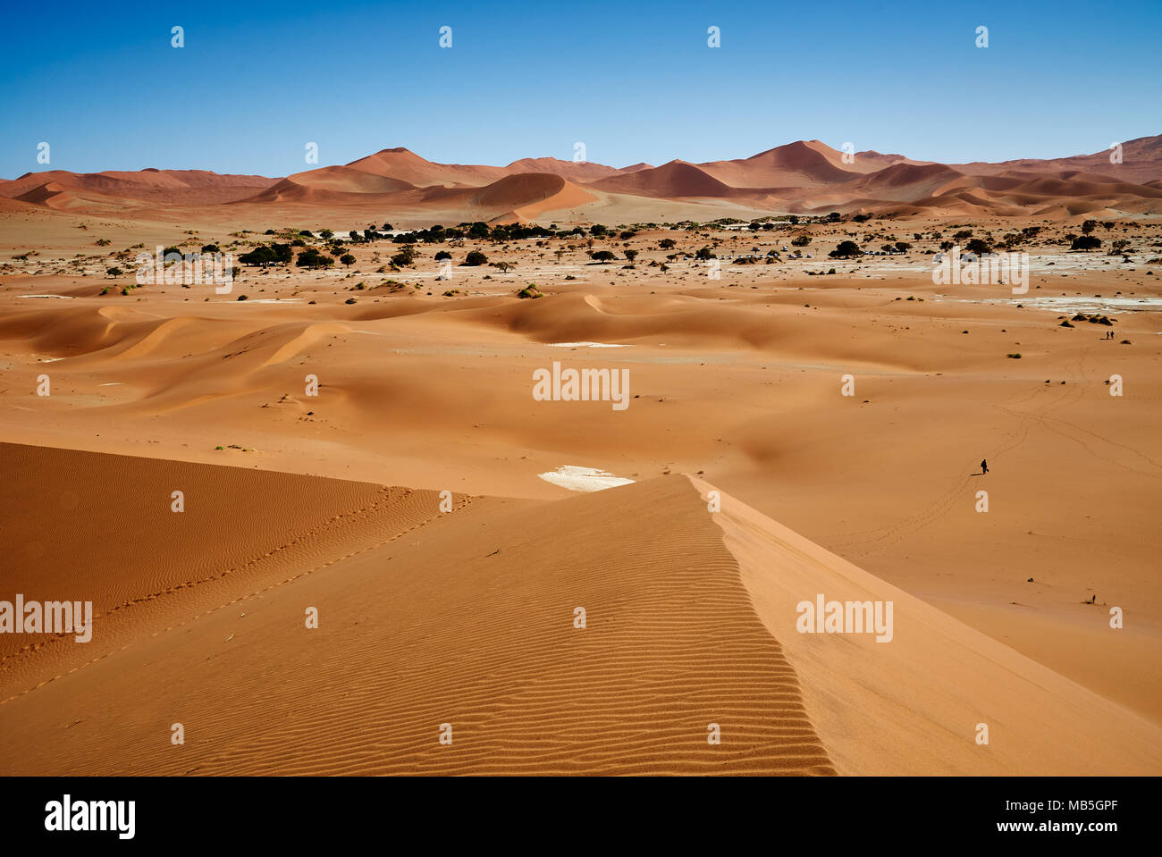 desert landscape of Namib at Sossusvlei, Namib-Naukluft National Park ...