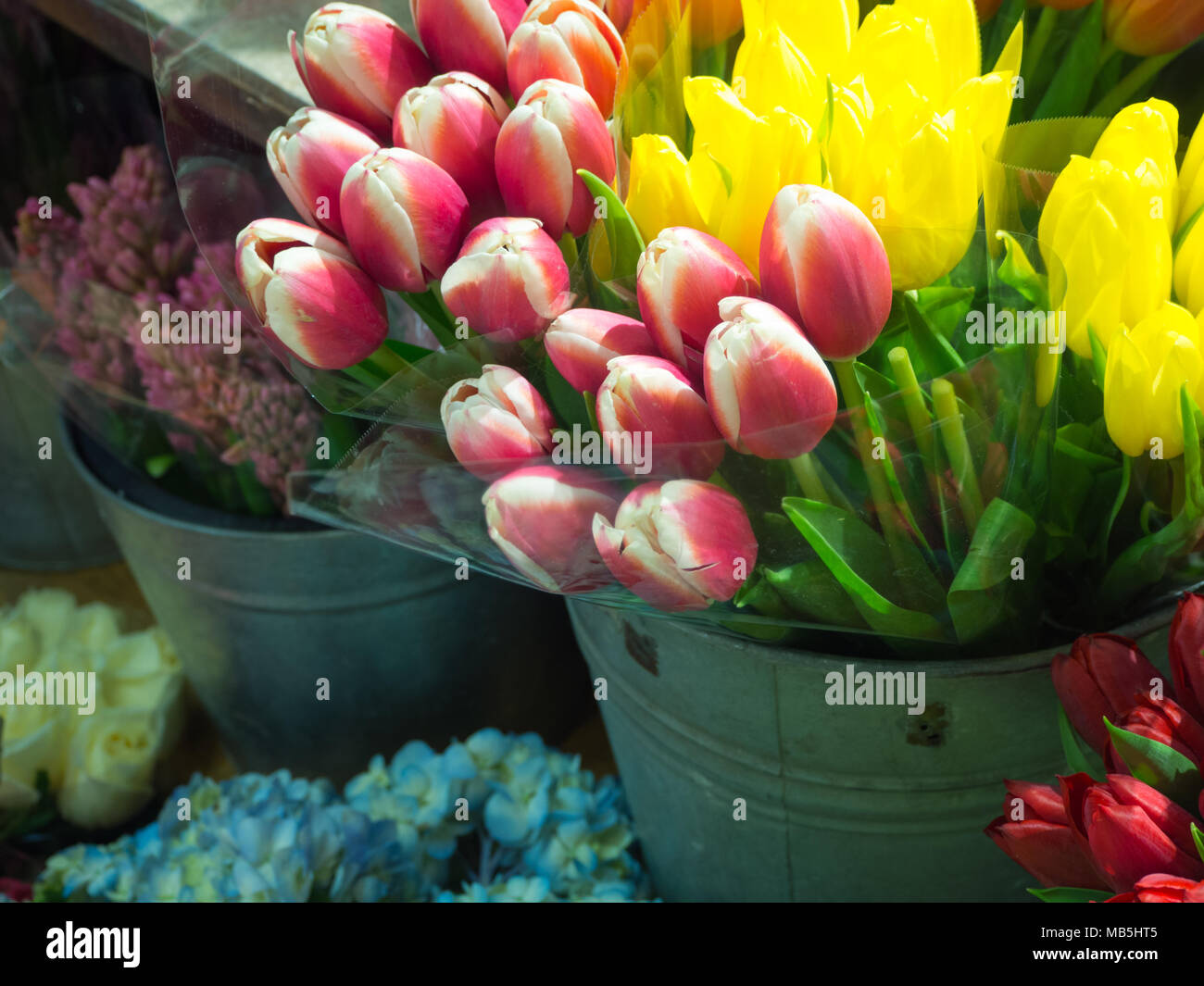 Flower shops hires stock photography and images Alamy