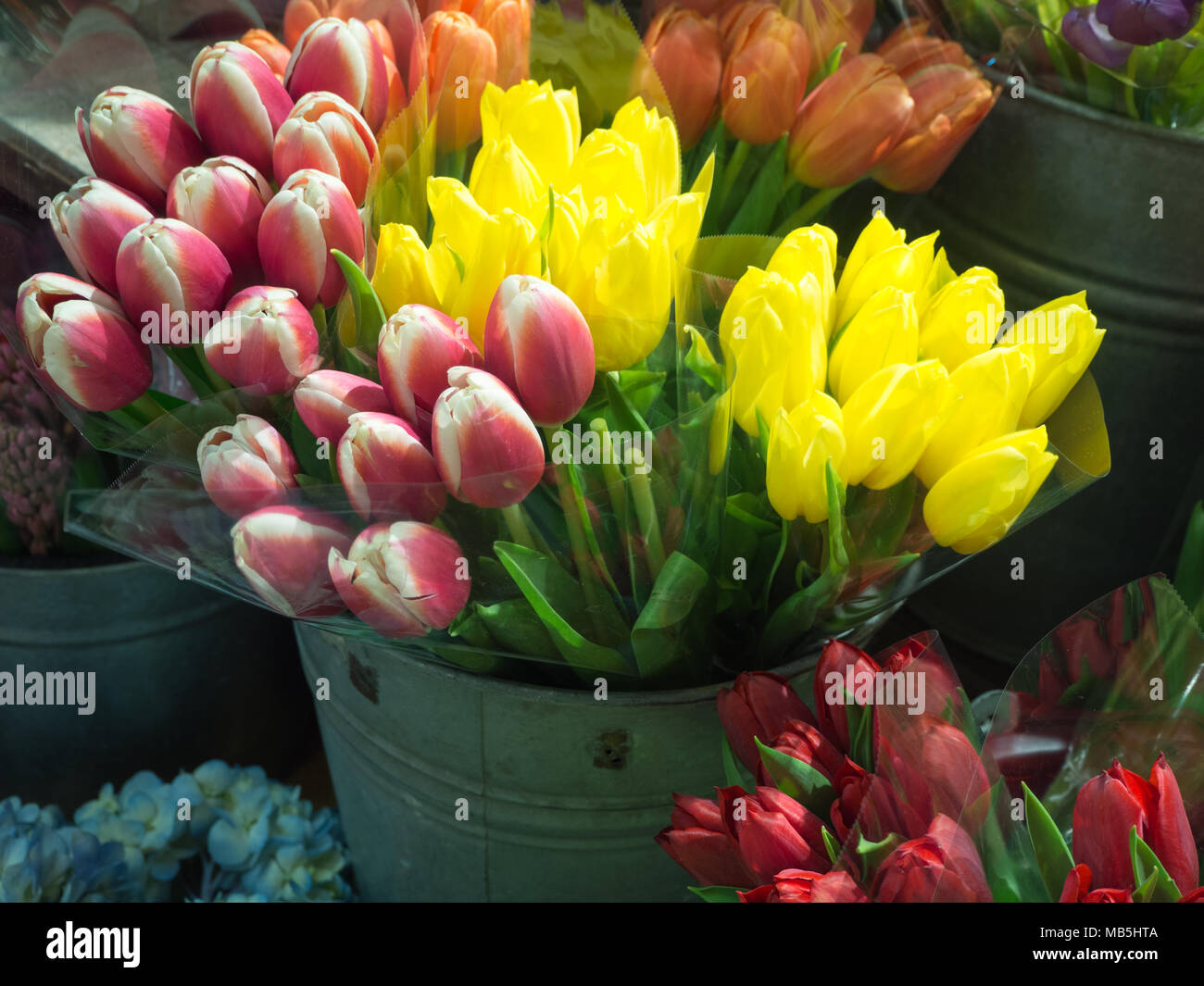 Flower shops hires stock photography and images Alamy