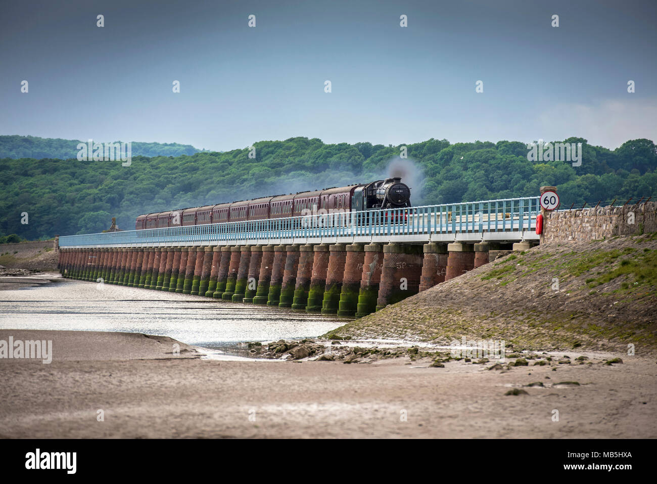 Steam train 48151 Guage O Guild crossing the Arnside viaduct June 14 ...