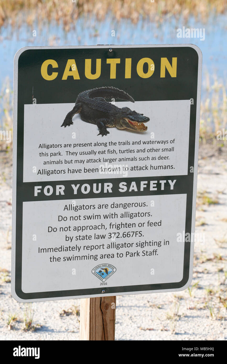 Alligator Warning Sign, Florida Stock Photo - Alamy