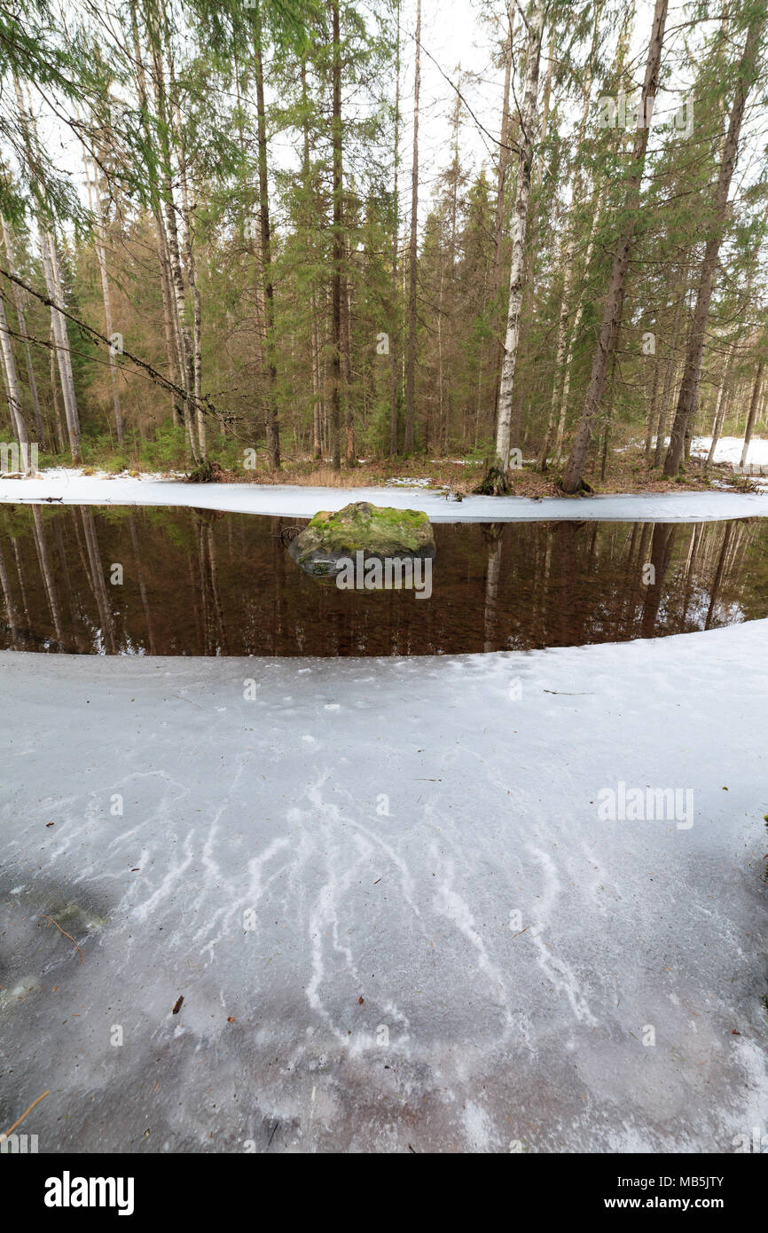River stream forest hi-res stock photography and images - Alamy