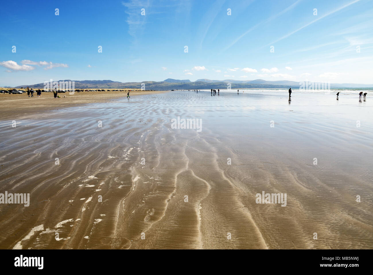Black Rock Sands is located near Porthmadog in Gwynedd (Wales). The ...