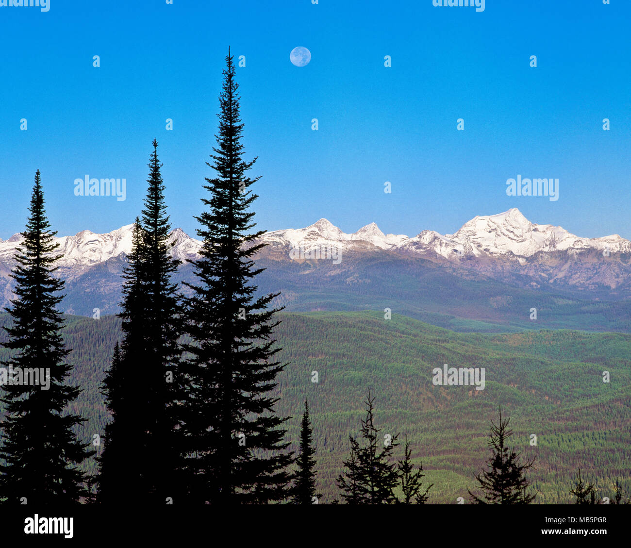 moon setting over the mission mountains near condon, montana Stock