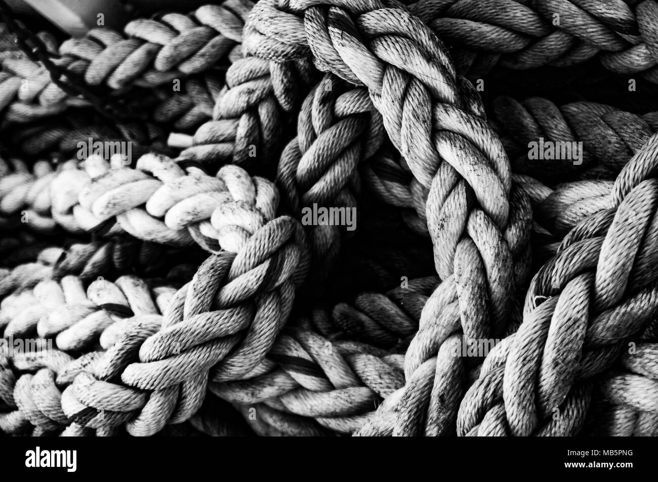 marine rope in black and white Stock Photo Alamy