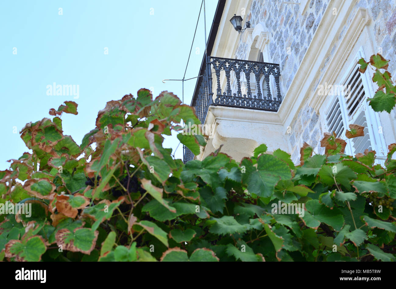 Detail of a traditional coastal house with lush vine Stock Photo