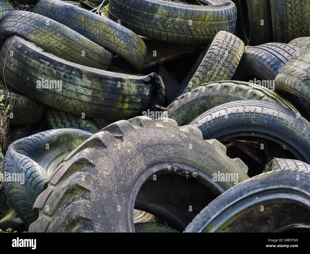 Environmental load Wild landfill of old tires Stock Photo Alamy