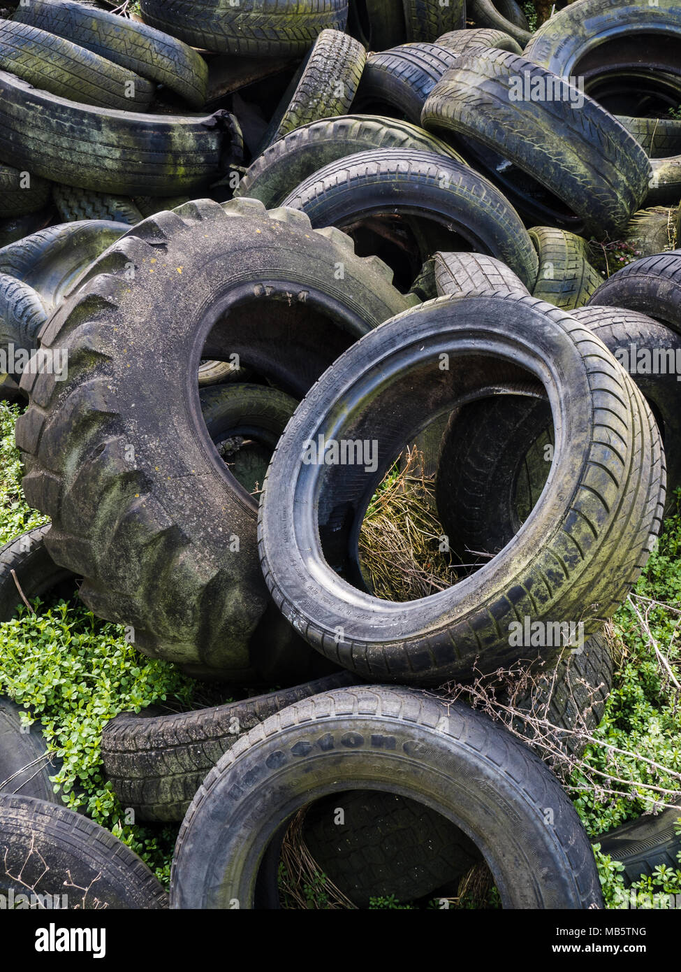 Environmental load Wild landfill of old tires Stock Photo Alamy
