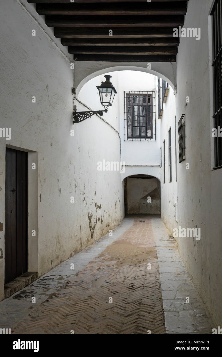 Street in the Jewish quarter (Juderia) in the Santa Cruz district in the Spanish city of Seville, Andalusia, Spain Stock Photo