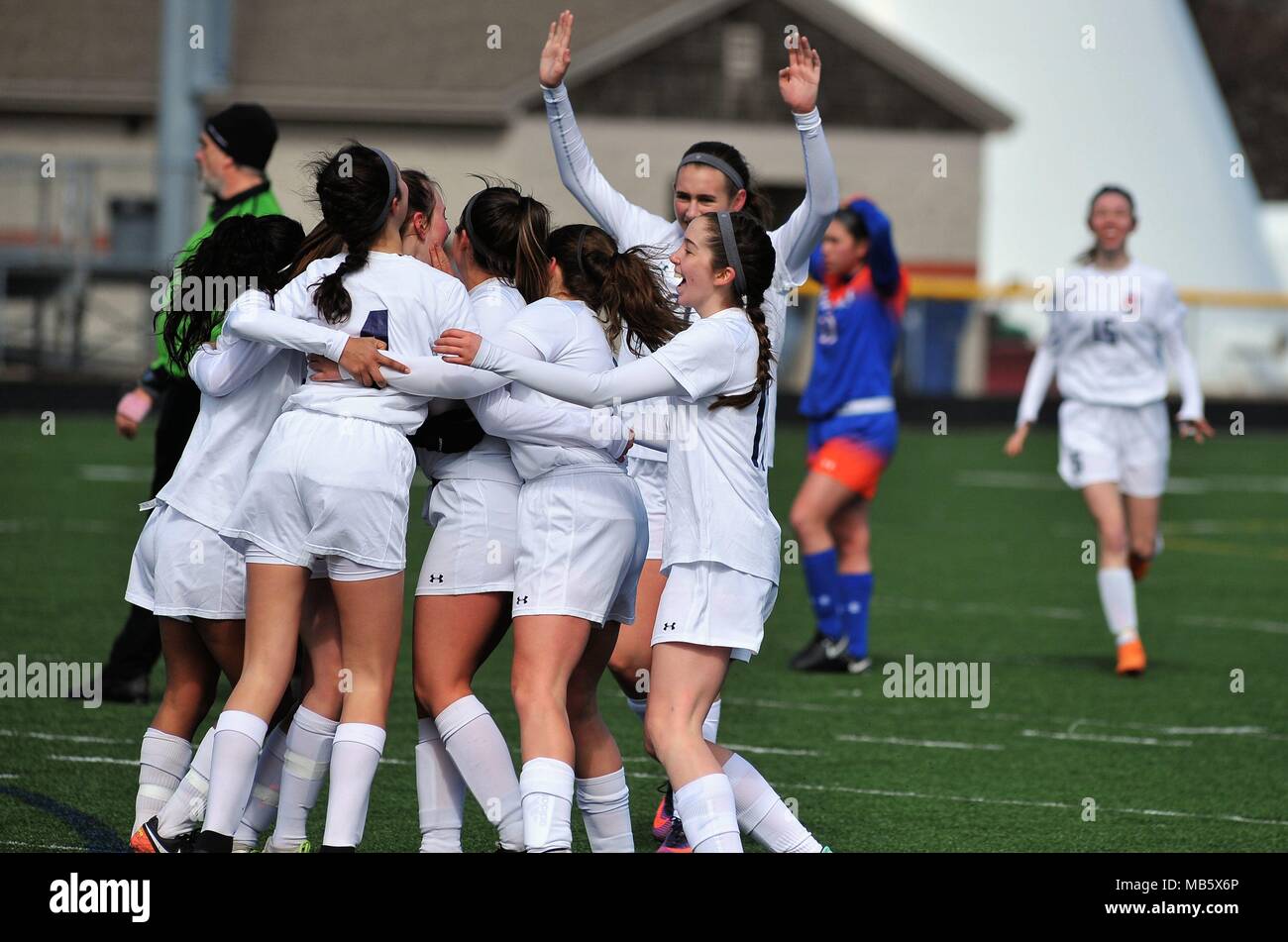 Teammates celebrate immediately after scoring a goal. USA. Stock Photo