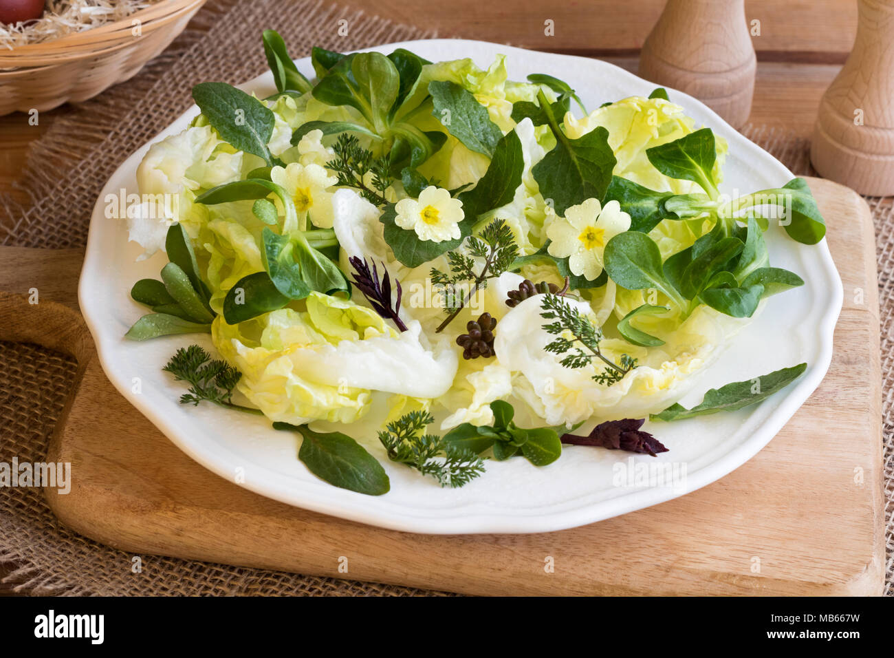 Spring salad with primula flowers, young nipplewort leaves and other wild edible plants Stock Photo