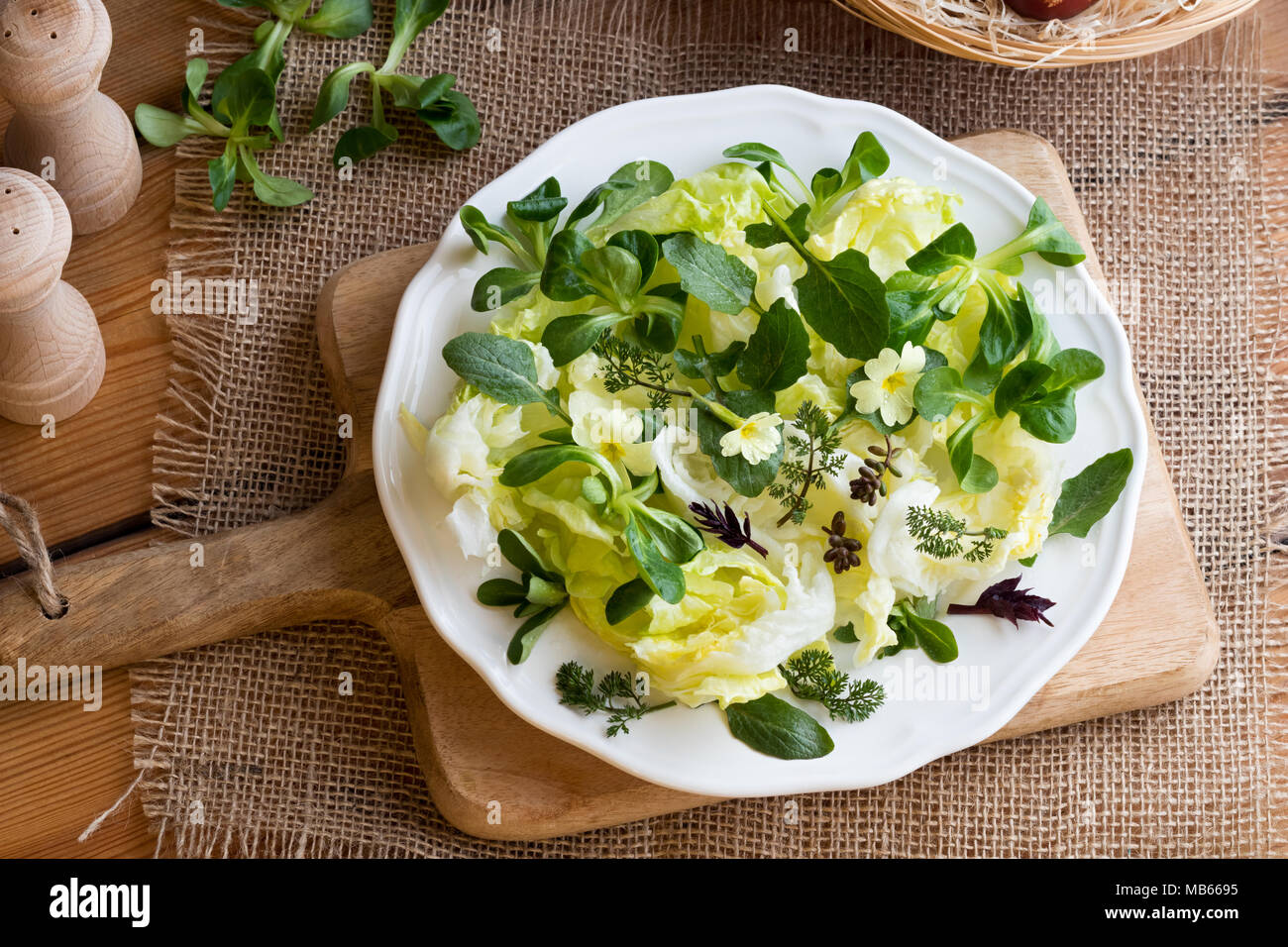 Spring salad with primula blossoms, nipplewort leaves and other wild edible plants Stock Photo