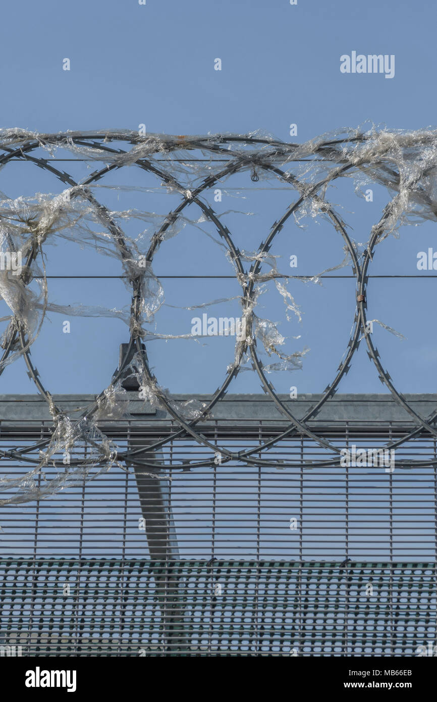 Coiled razor wire upon which plastic wrapping has become ensnared ...