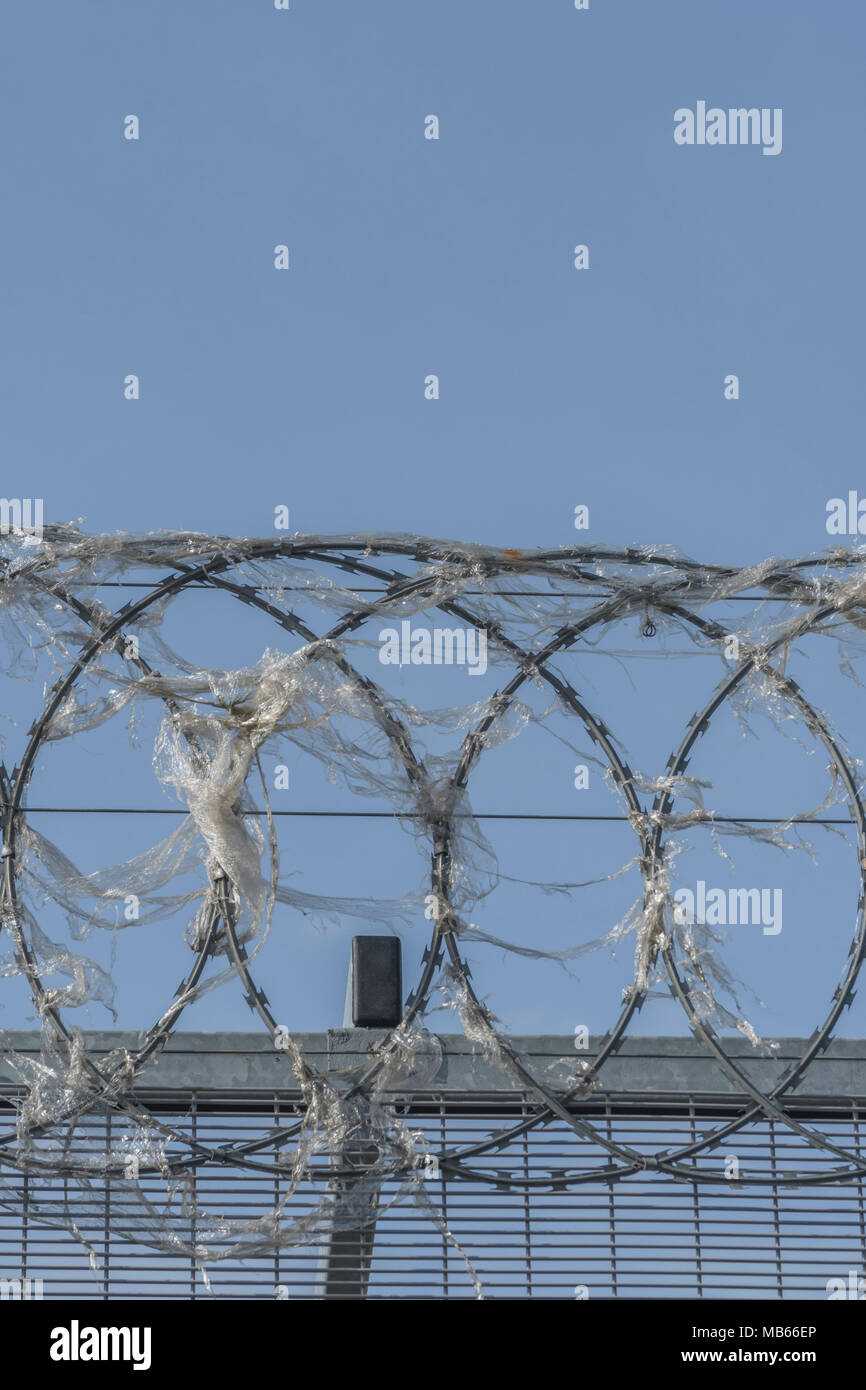 Coiled razor wire upon which plastic wrapping has become ensnared. Metaphor for 'war on plastic', ban plastic. Stock Photo