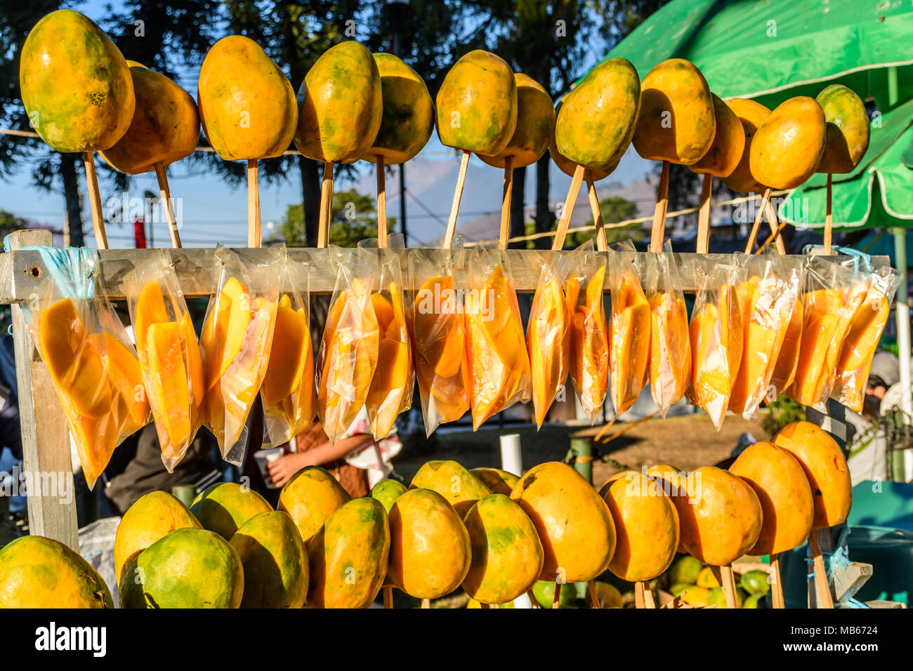 Whole ripe yellow mangoes on sticks & sliced ripe mangoes in bags on street  stall, Guatemala, Central America Stock Photo - Alamy