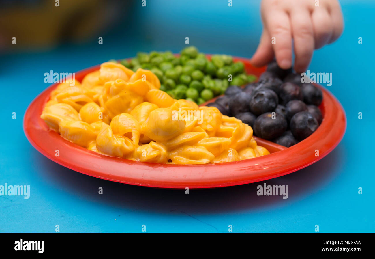 Shell Macrononi Child's Meal of Macoroni Shells and Cheese, Peas and Blueberries - A ...