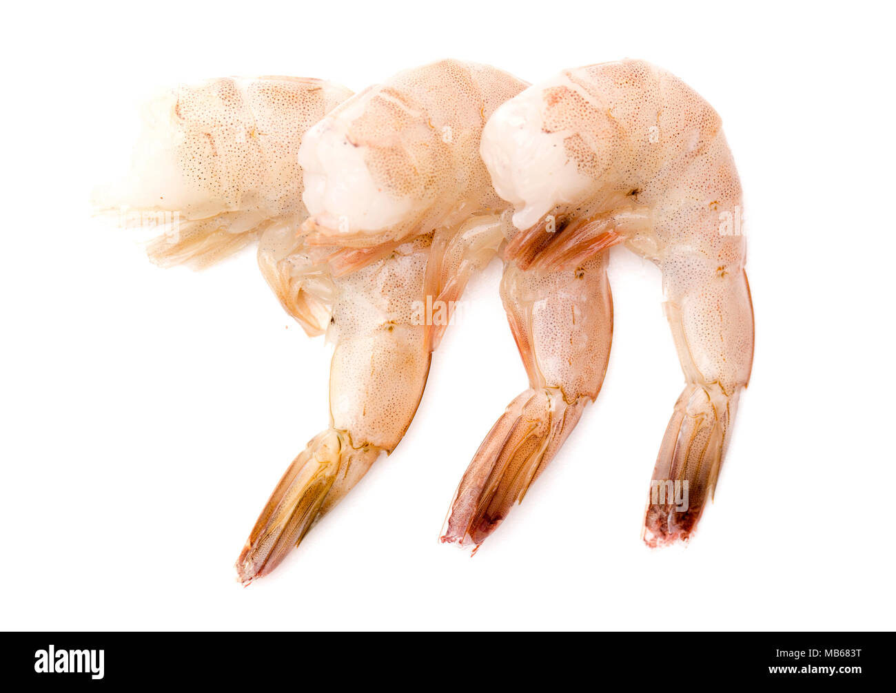 Jumbo shrimp hires stock photography and images Alamy