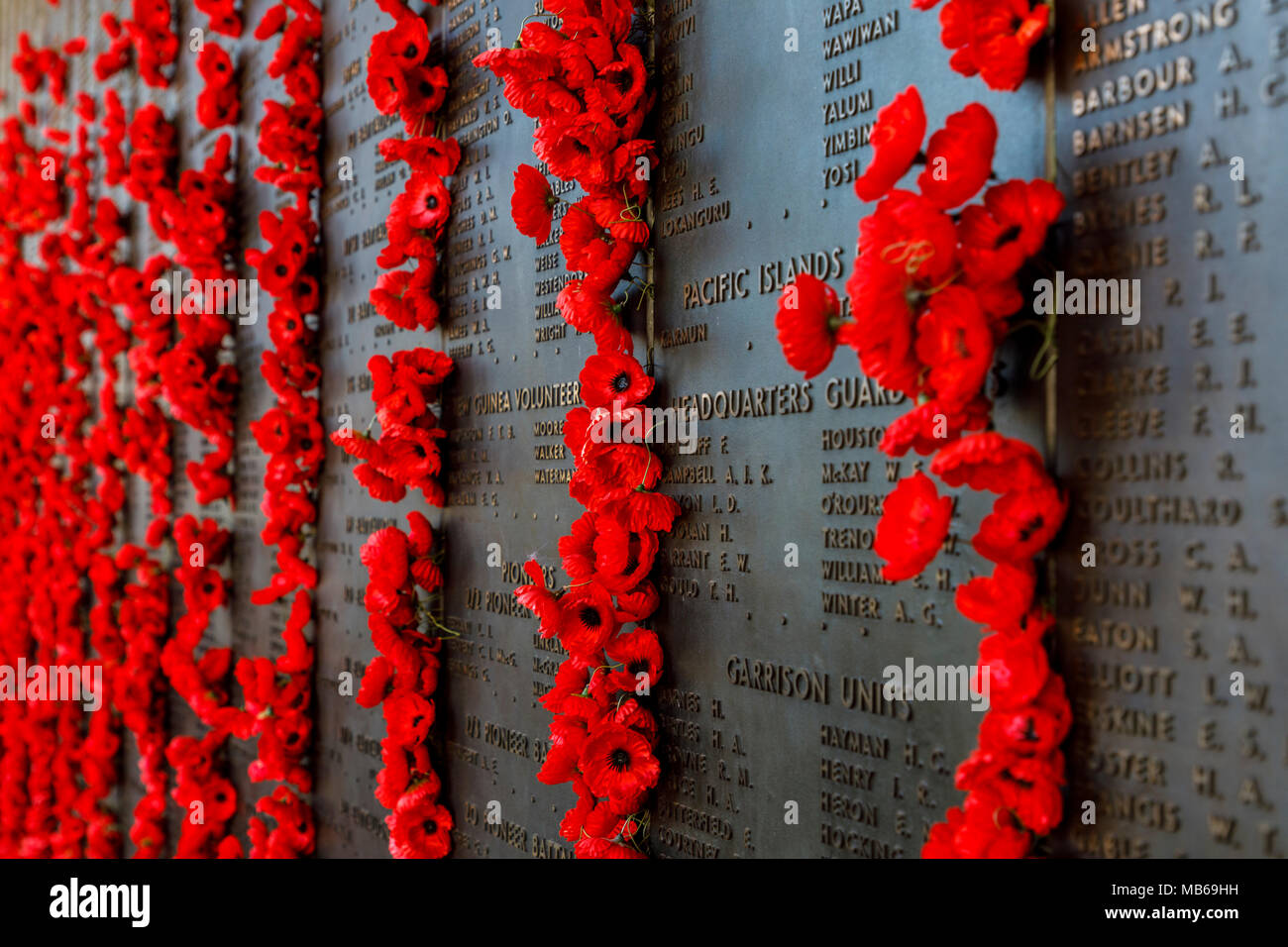 Red poppies pinned next to names of deceased soldiers at Australian War Memorial, Canberra, Australia Stock Photo