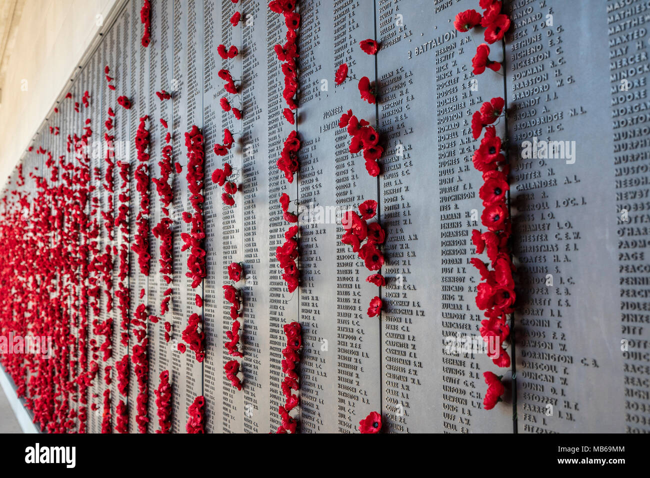Red poppies pinned next to names of deceased soldiers at Australian War Memorial, Canberra, Australia Stock Photo