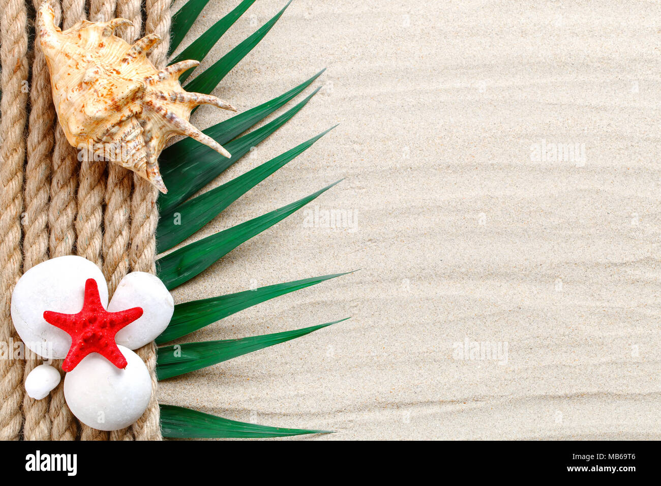 Starfish, seashells, sea stones and palm leaves lying on the sea sand . There is a place for labels. Stock Photo