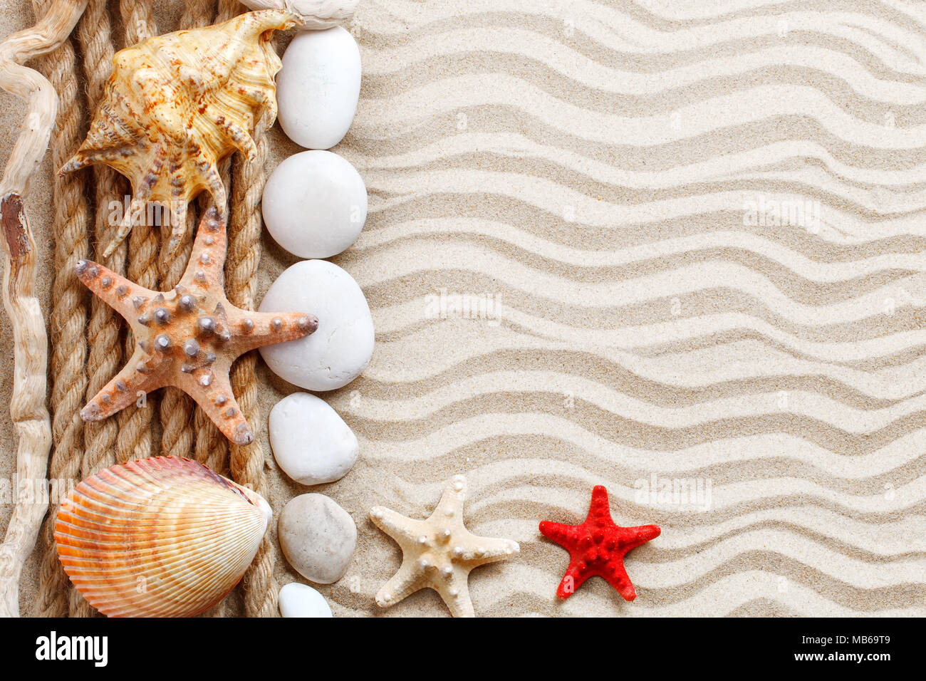 Starfish, seashells, sea stones and palm leaves lying on the sea sand . There is a place for labels. Stock Photo