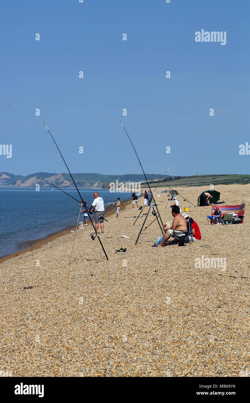 Chesil beach west bexington uk hires stock photography and images Alamy