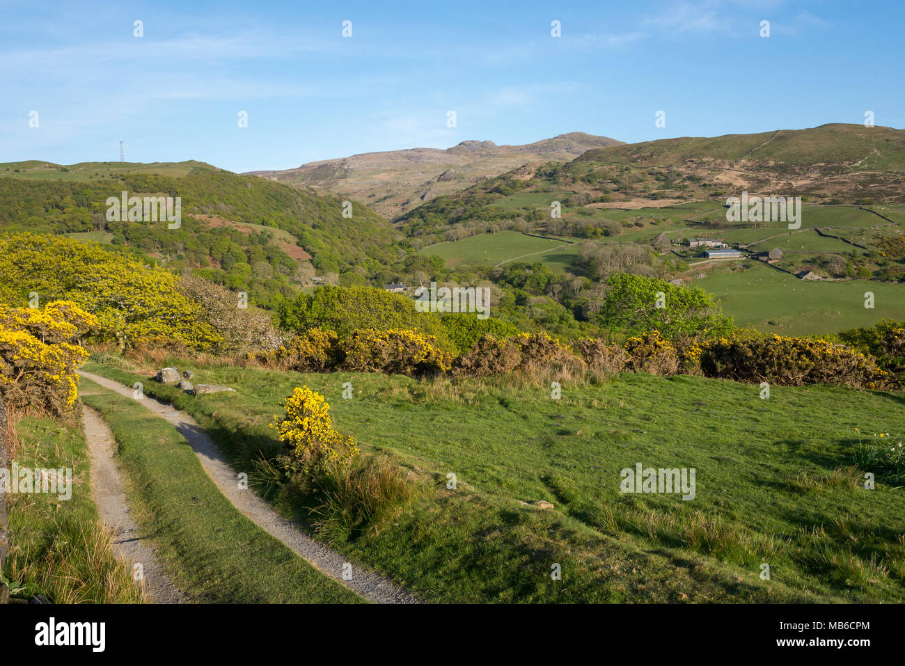 Beautiful spring evening in the hills near Harlech in Snowdonia, North Wales. The Rhinogs in the distance. Stock Photo