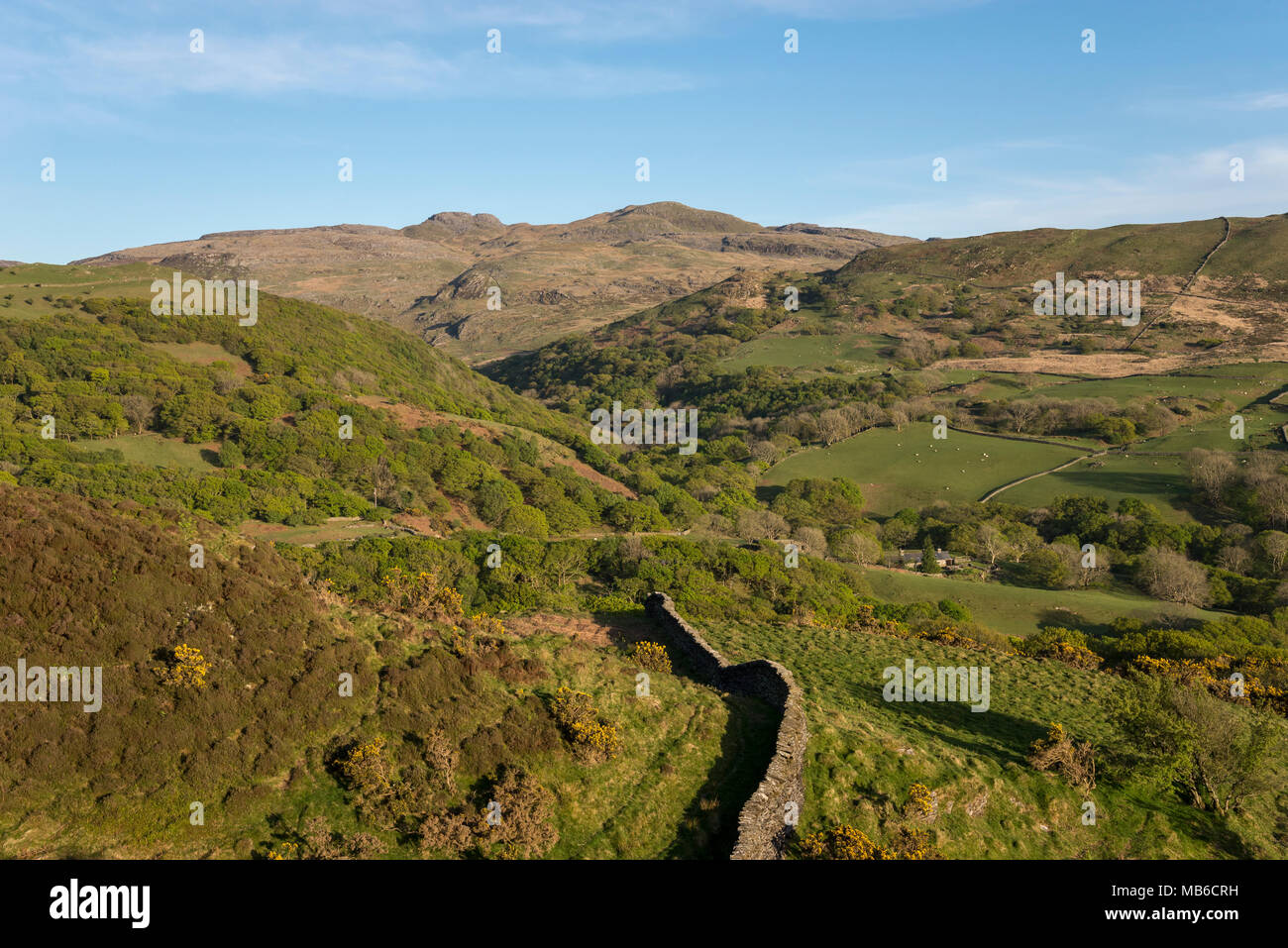 Beautiful spring evening in the hills near Harlech in Snowdonia, North Wales. Stock Photo