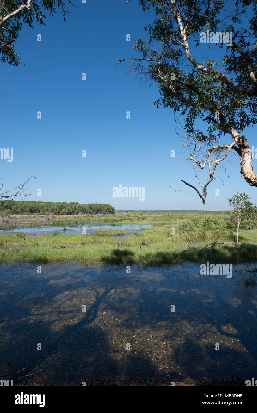 Fogg Dam Conservation Reserve, Northern Territory, Australia ...