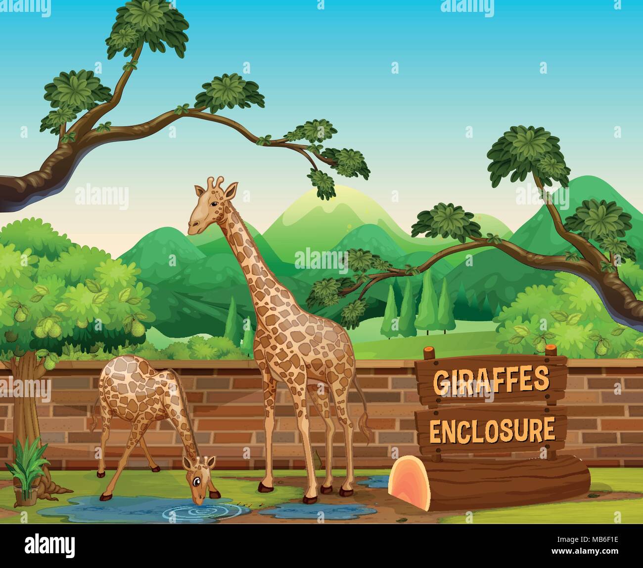 Two giraffes in the zoo illustration Stock Vector Image & Art - Alamy