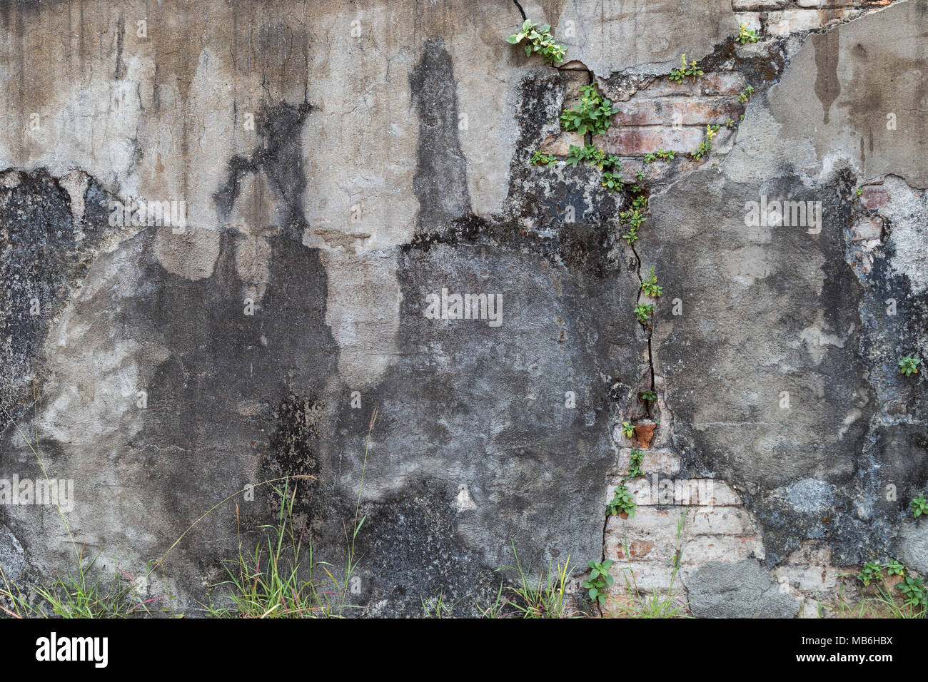 Full frame background of a weathered and damaged concrete wall and some plants. Plaster partly peeled off revealing bricks. Stock Photo